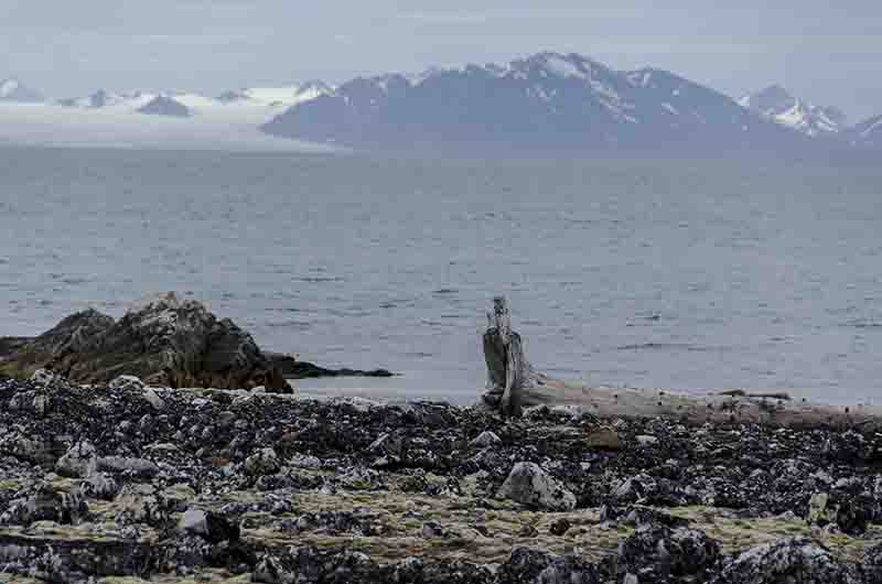 154 - Noruega - islas Svalbard - isla de Spitsbergen - Ingeborgfjellet